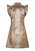 Load image into Gallery viewer, Dea Kudibal Ditta Dress in Black/Gold