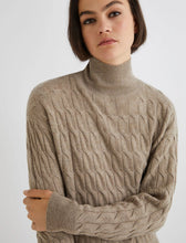 Load image into Gallery viewer, Marella Aereo Polo Neck Sweater in Mud Brown