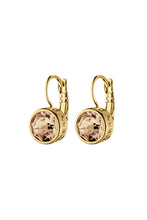 Load image into Gallery viewer, DYRBERG/KERN Louise Earrings in Gold