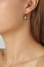 Load image into Gallery viewer, Dyrberg/Kern Chantel Earrings in Brown