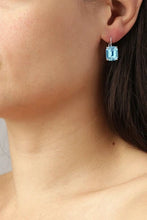 Load image into Gallery viewer, DYRBERG/KERN SEGIN EARRING