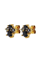 Load image into Gallery viewer, Dyrberg/Kern Billis Earrings in Black