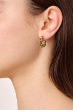 Load image into Gallery viewer, Dyrberg/Kern Raquel Earrings in Brown