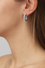 Load image into Gallery viewer, Dyrberg/Kern Kolos Crystal Earrings