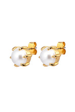 Load image into Gallery viewer, Dyrberg/Kern Craze Earrings in Pearl