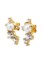Load image into Gallery viewer, Dyrberg/Kern Curra Earrings in Silver/Pearl