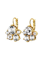 Load image into Gallery viewer, Dyrberg/Kern Disar Earrings in Silver