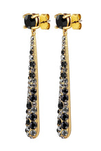 Load image into Gallery viewer, Dyrberg/Kern Elysia Black Mix Earrings
