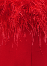Load image into Gallery viewer, Riani Dress with Feather Appliqué