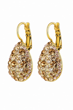 Load image into Gallery viewer, Dyrberg/Kern Betta Golden Mix Earrings