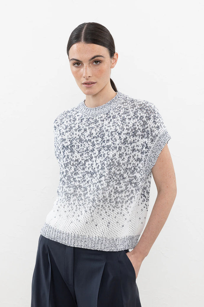 Peserico Nuanced Jacquard Pattern Cotton and Micro Sequin Sweater