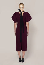 Load image into Gallery viewer, Roksanda Calita Dress in Merlot