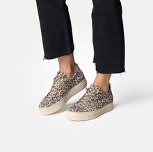 Load image into Gallery viewer, Paul Green 5317-040 Trainers in Leopard