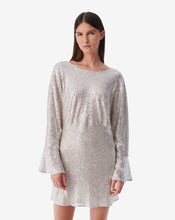 Load image into Gallery viewer, IRO Videa Sequin Shift Dress