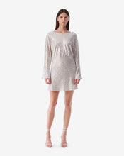 Load image into Gallery viewer, IRO Videa Sequin Shift Dress