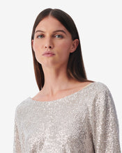 Load image into Gallery viewer, IRO Videa Sequin Shift Dress