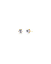 Load image into Gallery viewer, EDBLAD Crown Studs Mini in Gold