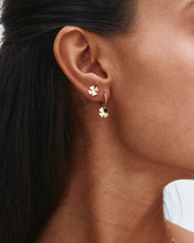 Load image into Gallery viewer, EDBLAD Lucky Mini Studs in Gold
