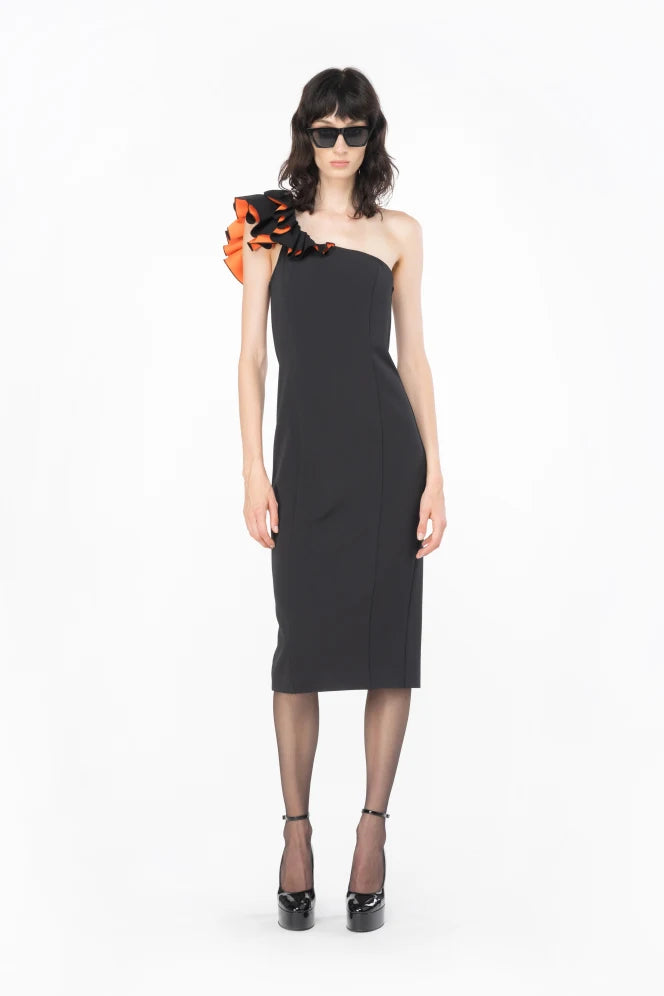 Pinko Cuvette Dress