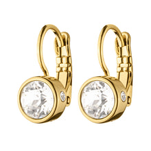 Load image into Gallery viewer, Dyrberg/Kern Louise Crystal Earrings
