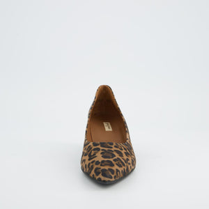 Paul Green 3849 in Leopard