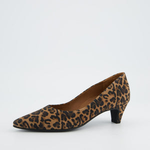 Paul Green 3849 in Leopard