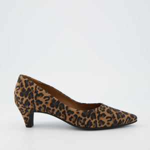 Paul Green 3849 in Leopard