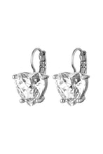 Load image into Gallery viewer, Dyrberg/Kern Adora Earrings in Crystal
