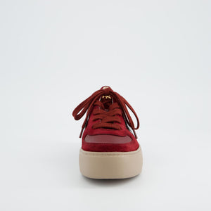 Paul Green 5230 in Wine