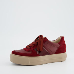 Paul Green 5230 in Wine