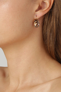 Dyrberg/Kern Chantel Earrings in Brown