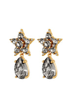 Load image into Gallery viewer, Dyrberg/Kern Hydra Earrings in Grey
