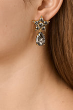 Load image into Gallery viewer, Dyrberg/Kern Hydra Earrings in Grey
