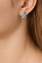 Load image into Gallery viewer, Dyrberg/Kern Cana Earring in Crystal
