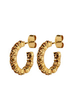 Load image into Gallery viewer, Dyrberg/Kern Raquel Earrings in Brown
