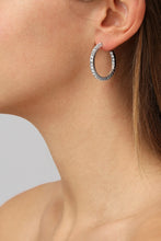 Load image into Gallery viewer, Dyrberg/Kern Pina Earrings in Silver
