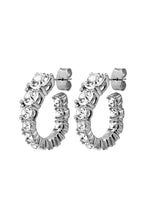 Load image into Gallery viewer, Dyrberg/Kern Kolos Crystal Earrings
