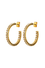 Load image into Gallery viewer, Dyrberg/Kern Pina Earrings in Gold
