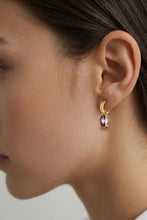 Load image into Gallery viewer, Dyrberg/Kern Solene Vintage Rose Earrings

