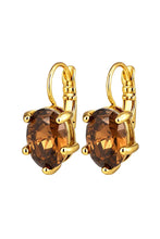 Load image into Gallery viewer, Dyrberg/Kern Kristy Brown Earrings
