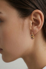 Load image into Gallery viewer, Dyrberg/Kern Kristy Brown Earrings
