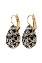 Load image into Gallery viewer, Dyrberg/Kern Betta Black Mix Earrings
