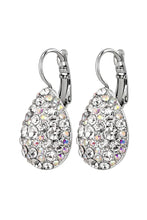 Load image into Gallery viewer, Dyrberg/Kern Betta Crystal Mix Earrings
