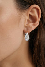 Load image into Gallery viewer, Dyrberg/Kern Betta Crystal Mix Earrings
