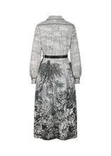 Load image into Gallery viewer, Riani Copperplate Printed Dress in Off-White
