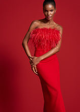 Load image into Gallery viewer, Riani Dress with Feather Appliqué
