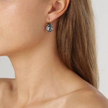 Load image into Gallery viewer, Dyrberg/Kern Chantel Grey Earrings
