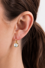 Load image into Gallery viewer, Dyrberg/Kern Louise Crystal Earrings
