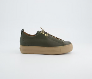 Paul Green 5017 in Olive