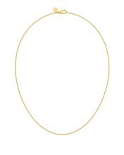 Load image into Gallery viewer, EDBLAD Curb Chain Mini 42cm in Gold
